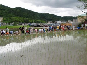 雄町米で造る純米酒体験ツアー