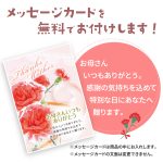 母の日ギフト　梅酒・ゆず酒・桃酒飲み比べセット DSY-54 メッセージカード付き（送料込み）