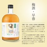 母の日ギフト　梅酒・ゆず酒・桃酒飲み比べセット DSY-54 メッセージカード付き（送料込み）
