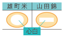 雄町米が“幻の酒米”たる所以
